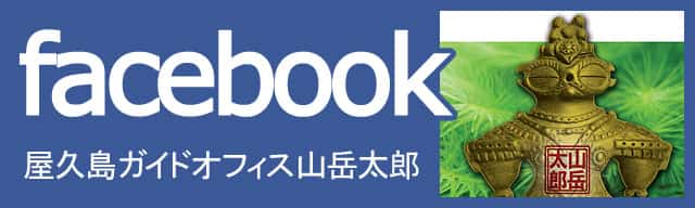 屋久島ガイドオフィス山岳太郎のフェイスブックページで最新情報をチェックなのだ！