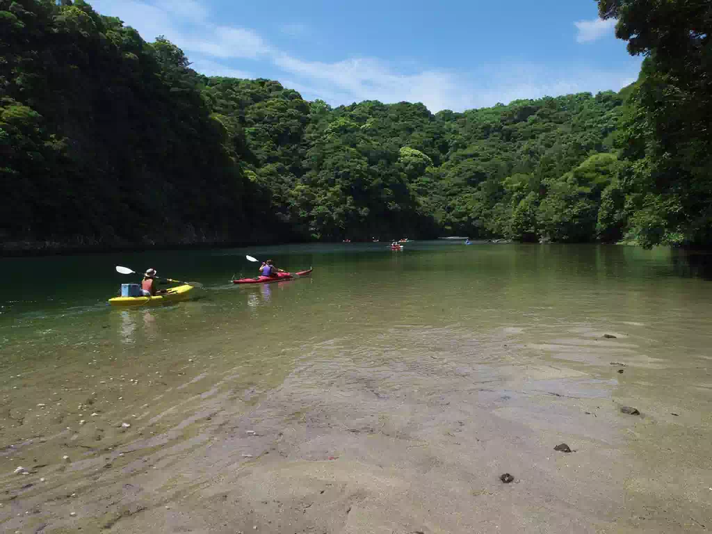 水面から眺める森の美しさ。更に上流を目指しましょう♪