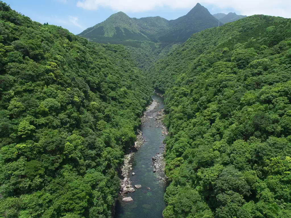 上流は深いV字谷（松峯大橋より）