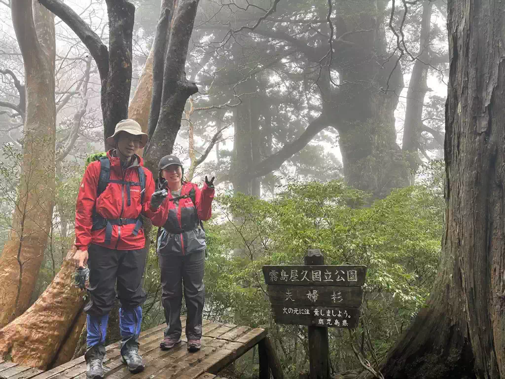 奥に見えるは夫婦杉