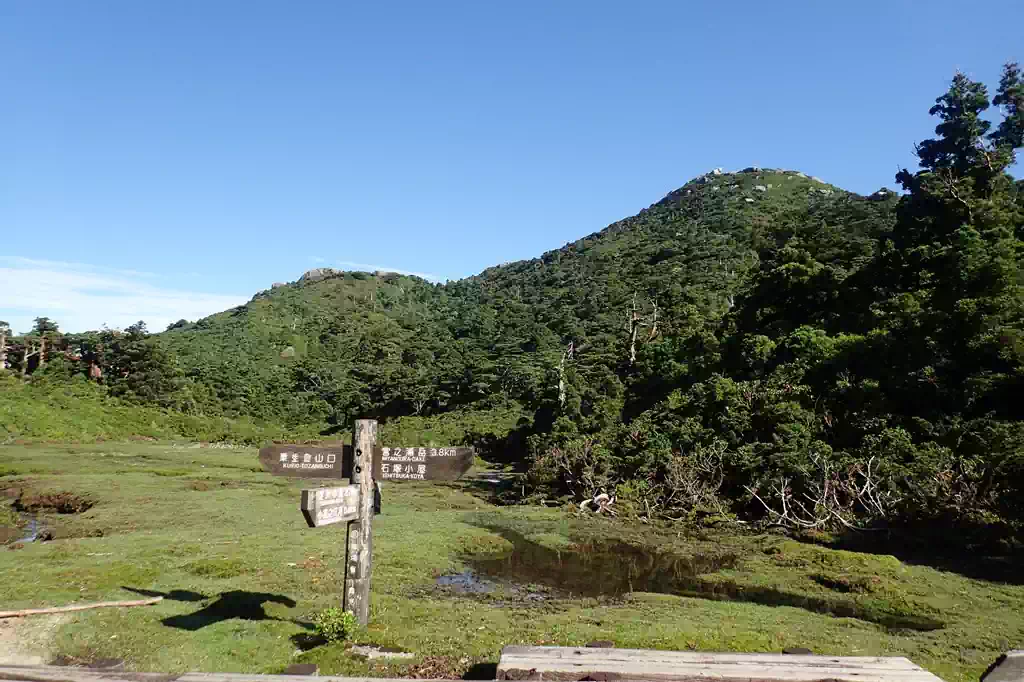 高層湿原の花之江河