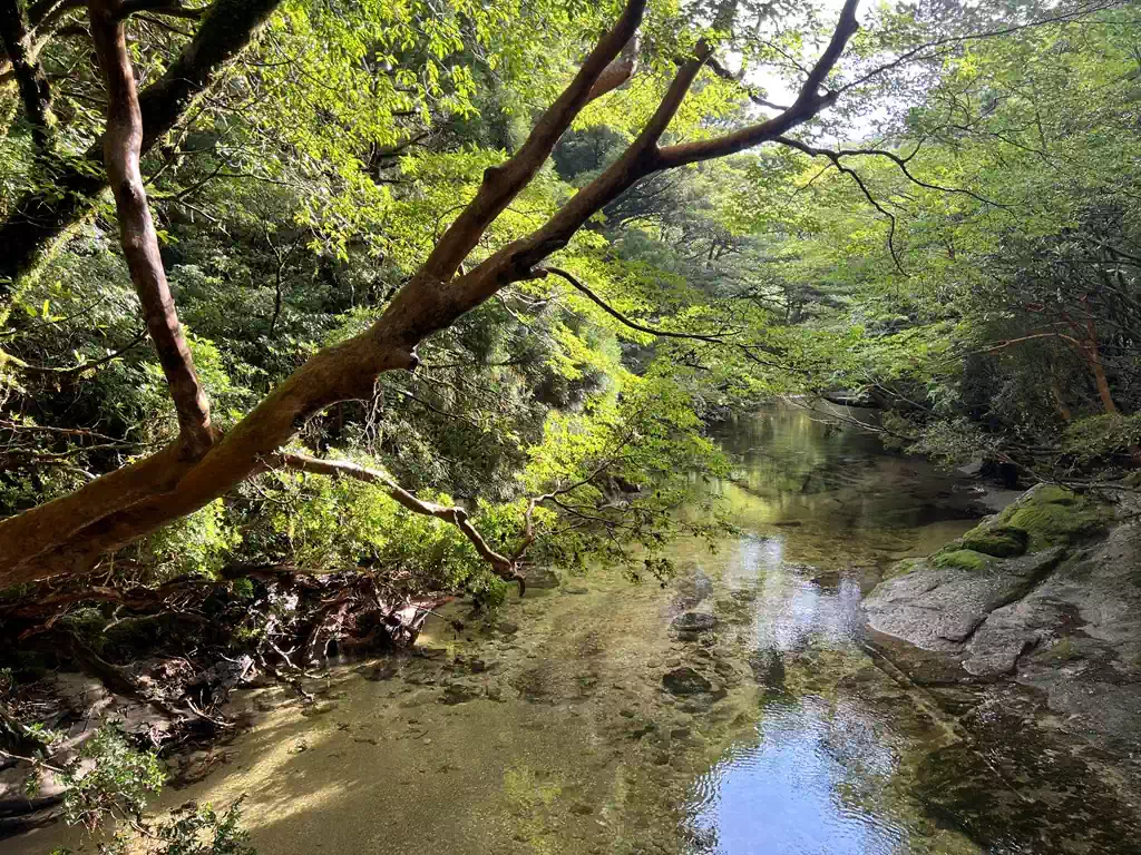 帰りは時間があれば淀川で小休止