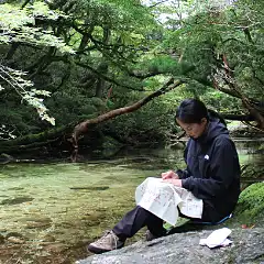 森歩きと屋久杉磨きツアー