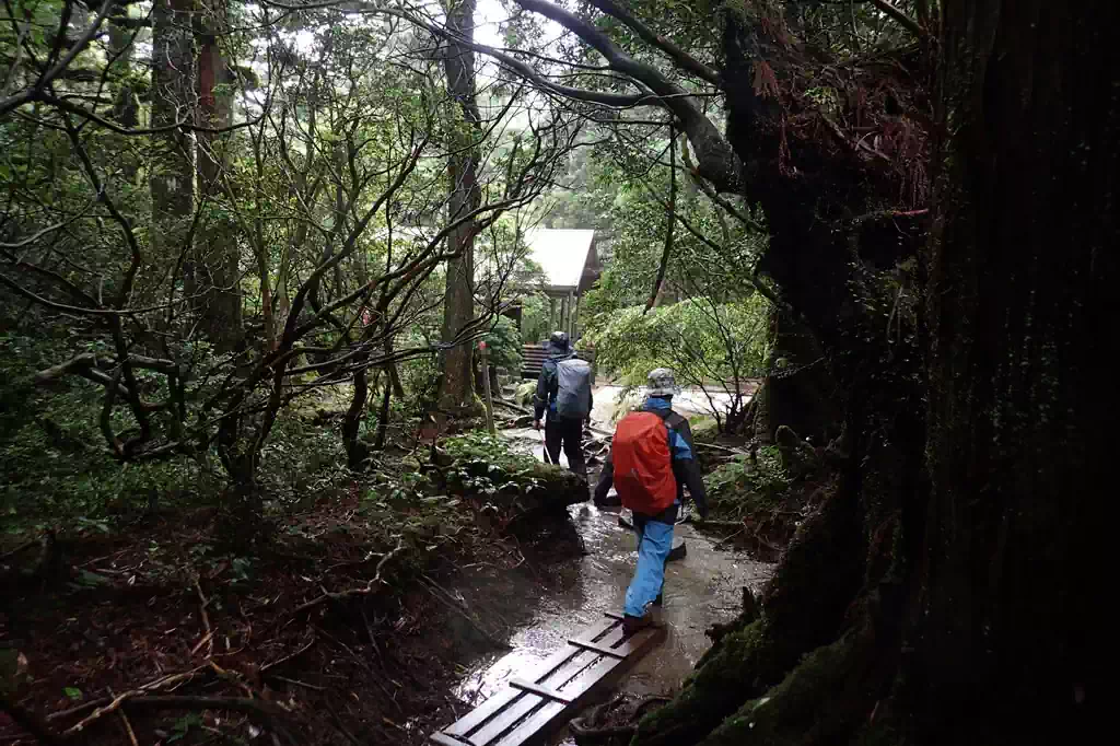 しばらく歩くと何かが見えてきたぞ