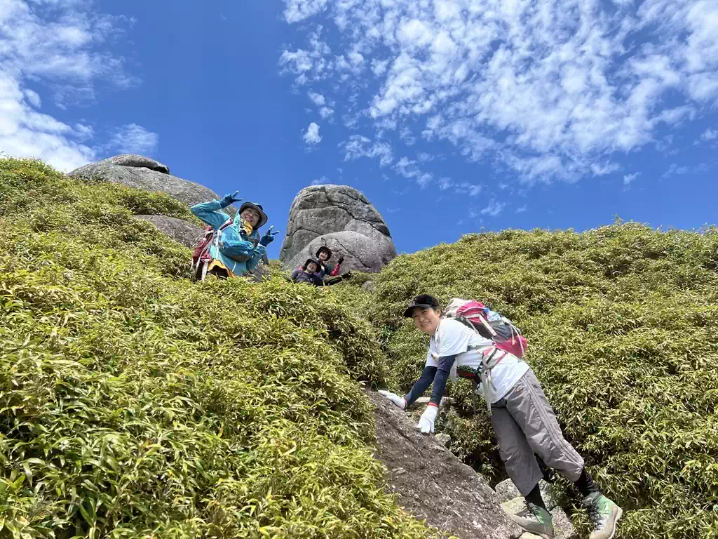 ヤクザサに覆われた登山道