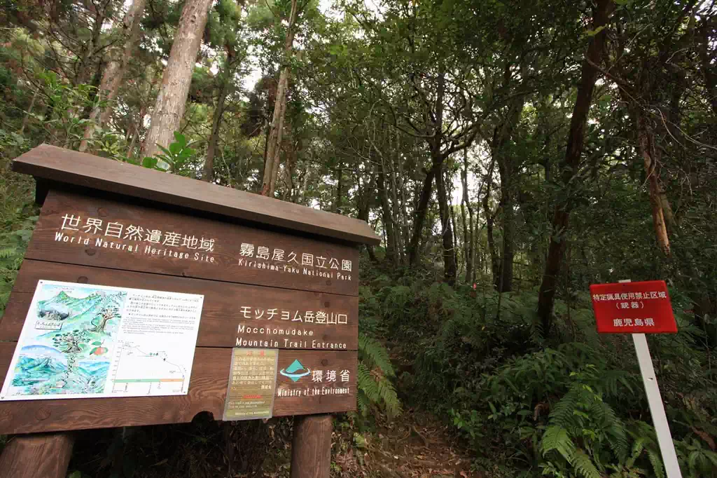 ここが登山道入口