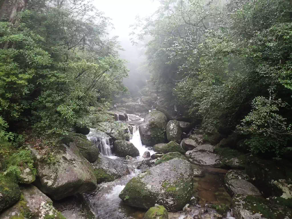 帰りに時間があれば沢にも