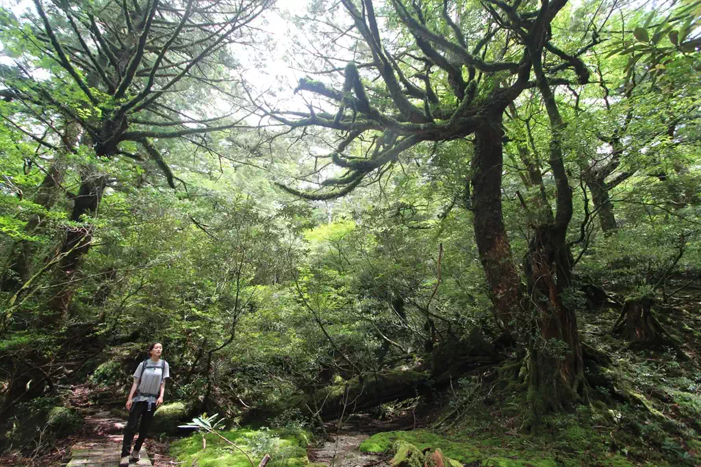 淀川登山口を出発