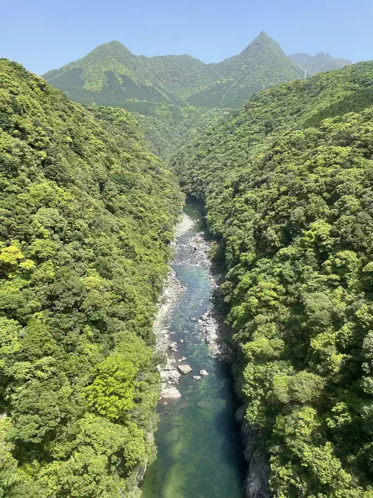 松峯大橋からの眺め